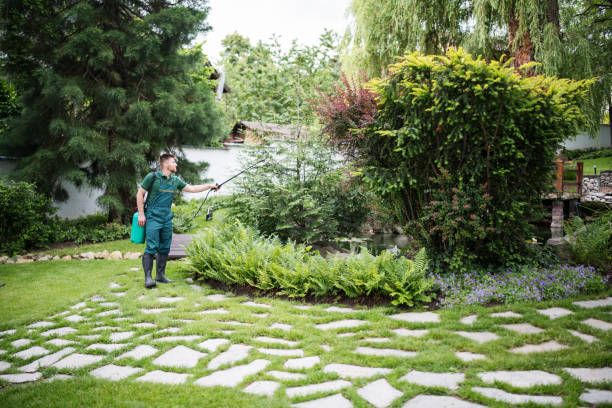 Best Exterminator Services  in Baldwin Park, CA