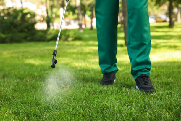 Best Flea Control Services  in Baldwin Park, CA