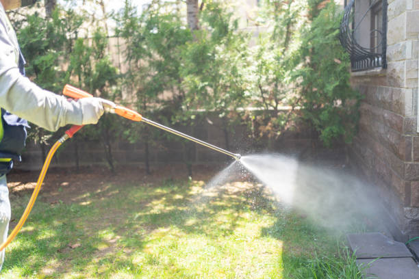 Best Wasp Removal Services  in Baldwin Park, CA