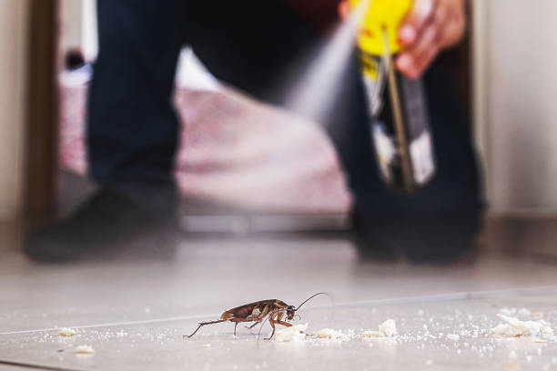 Best Best Pest Control Companies  in Baldwin Park, CA