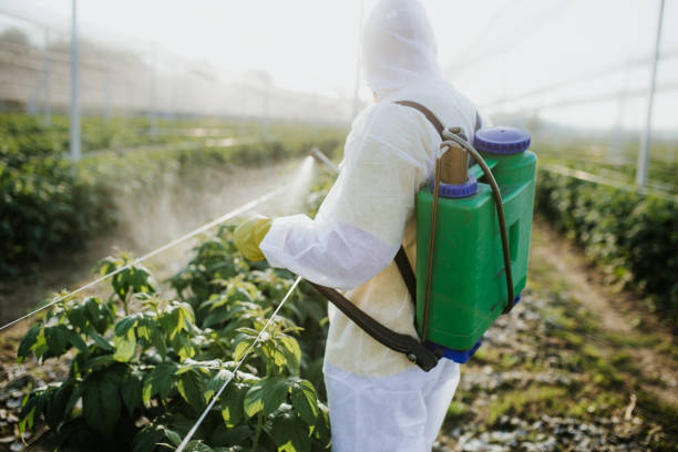 Best Termite Control Services  in Baldwin Park, CA